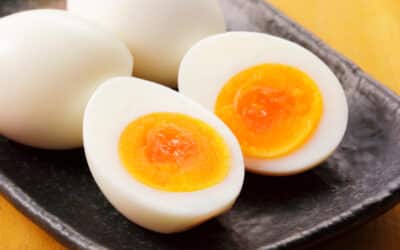 NO MORE EGG SHAMING; CARDIOVASCULAR EFFECTS UNFOUNDED