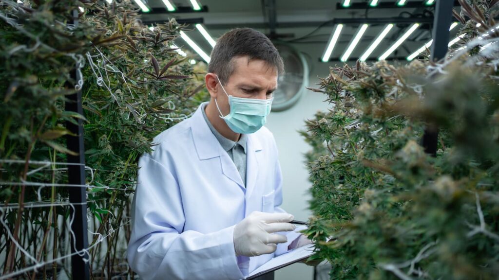 Shutterstock 2645244709 (1)