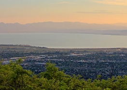 Featured springville1