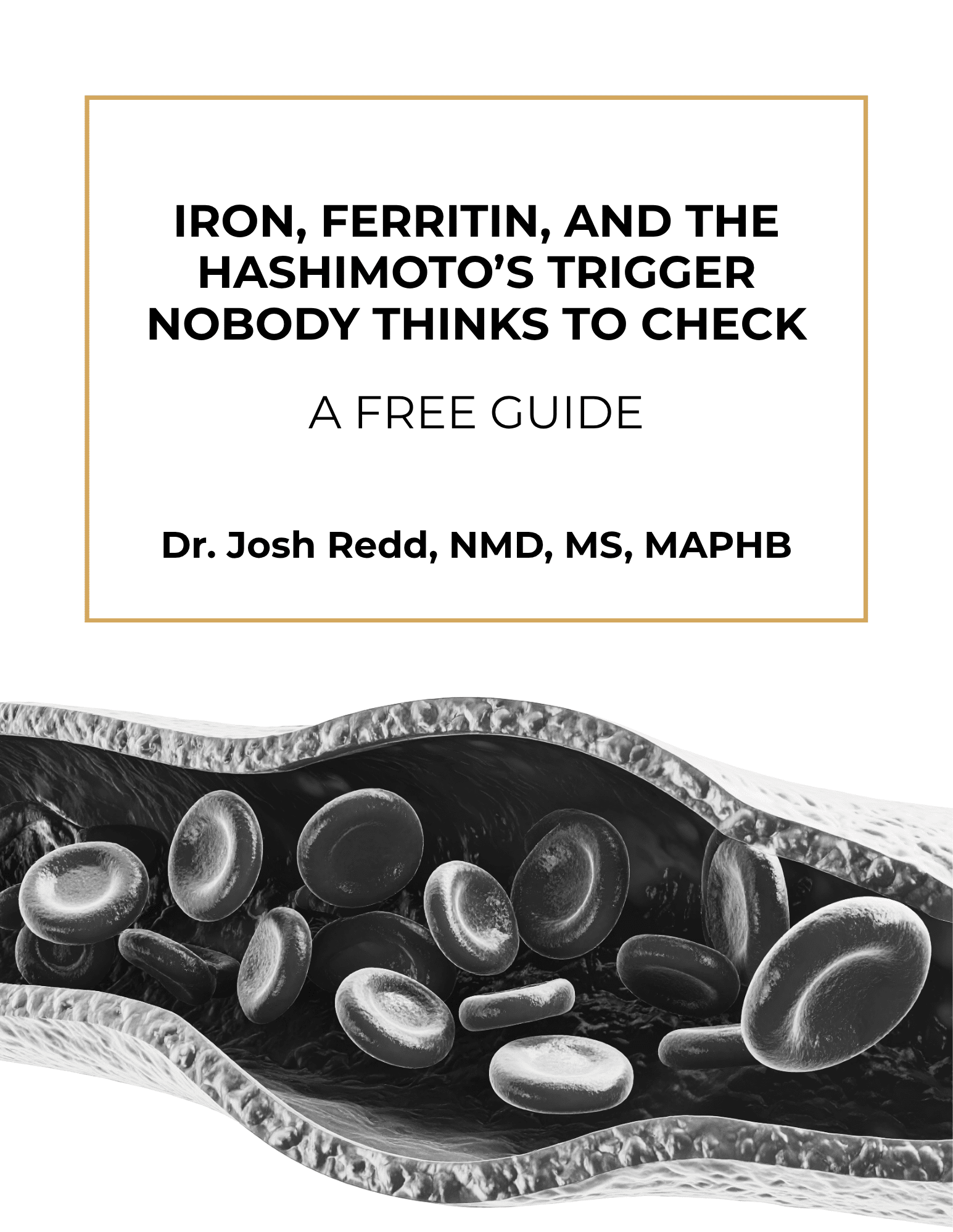 Podcast iron lead magnet